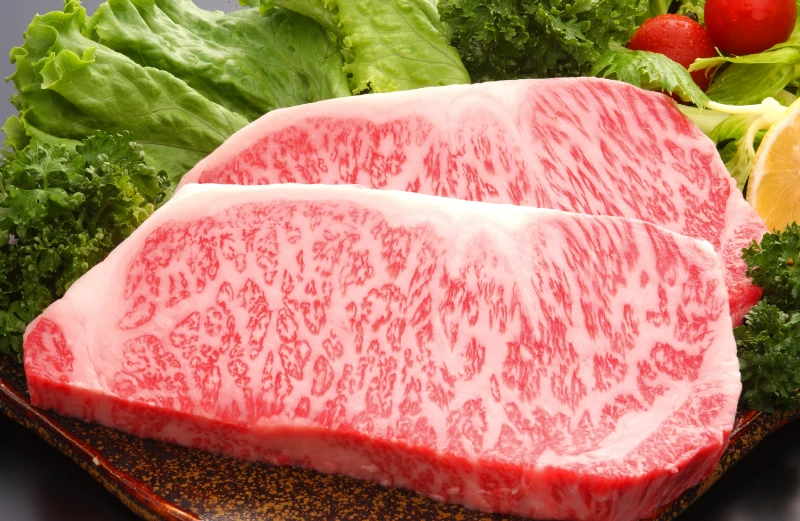 月のコース